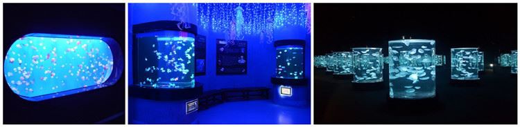 acrylic panels for aquariums,acrylic glass sheets for Aquarium,acrylic sheet for aquarium tank, (11)_